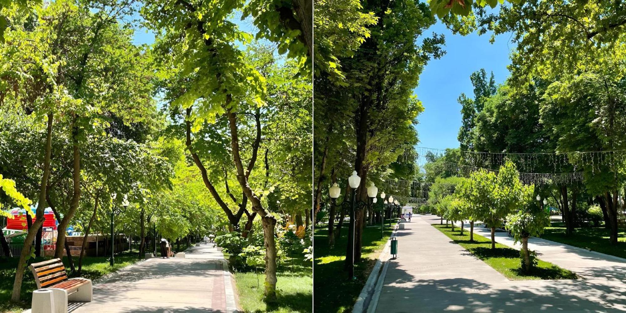 טשקנט Downtown Big Apartment מראה חיצוני תמונה